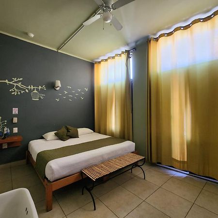 Hotel Plaza Querétaro Exteriér fotografie
